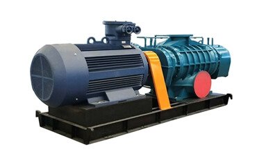 MTRF-Two Blade-Roots-Blower