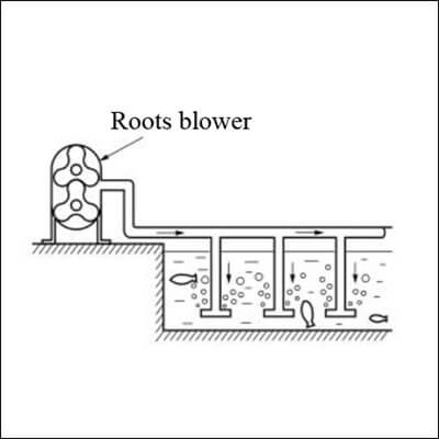 Roots Blower for Pound Oxygen Providing