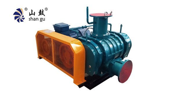 Roots Type Vacuum Pump