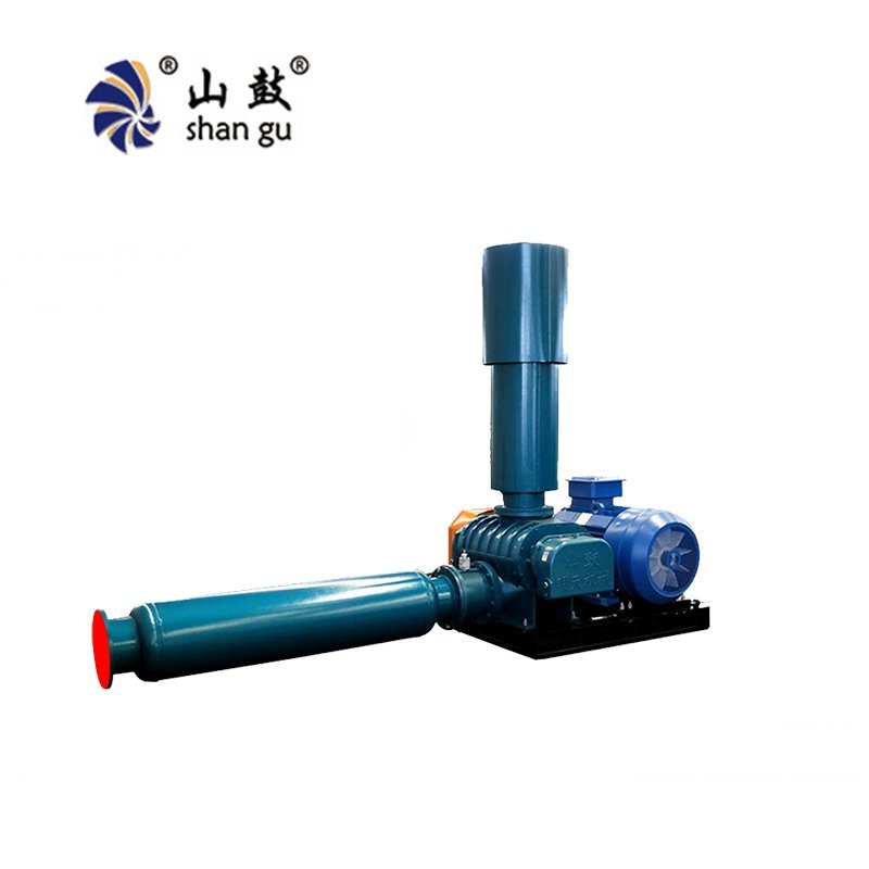 RSR Wastewater Treatment Roots Blower
