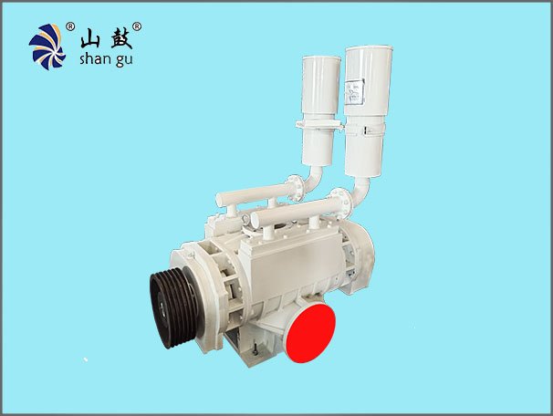 Vacuum Excavator Pump