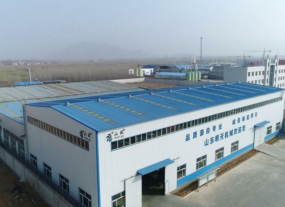 China Roots Blower