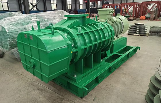 MTRF Roots Blower-2