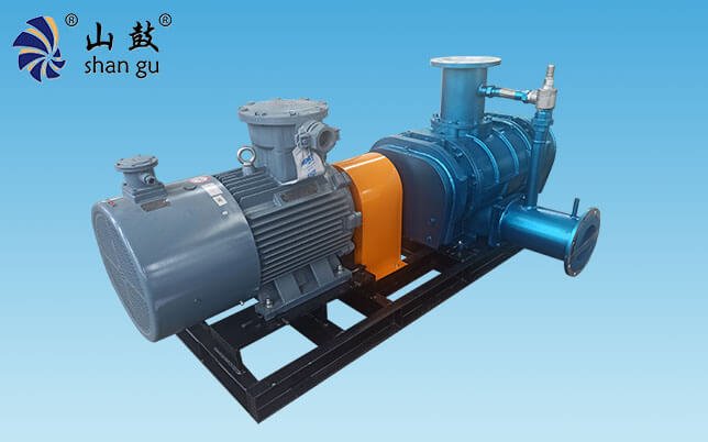 Landfill Gas Blower-3