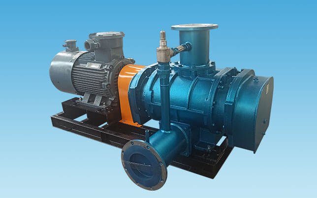 Landfill Gas Blower