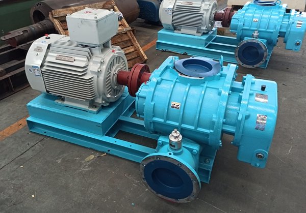 Direct Coupled Drive Roots Blower