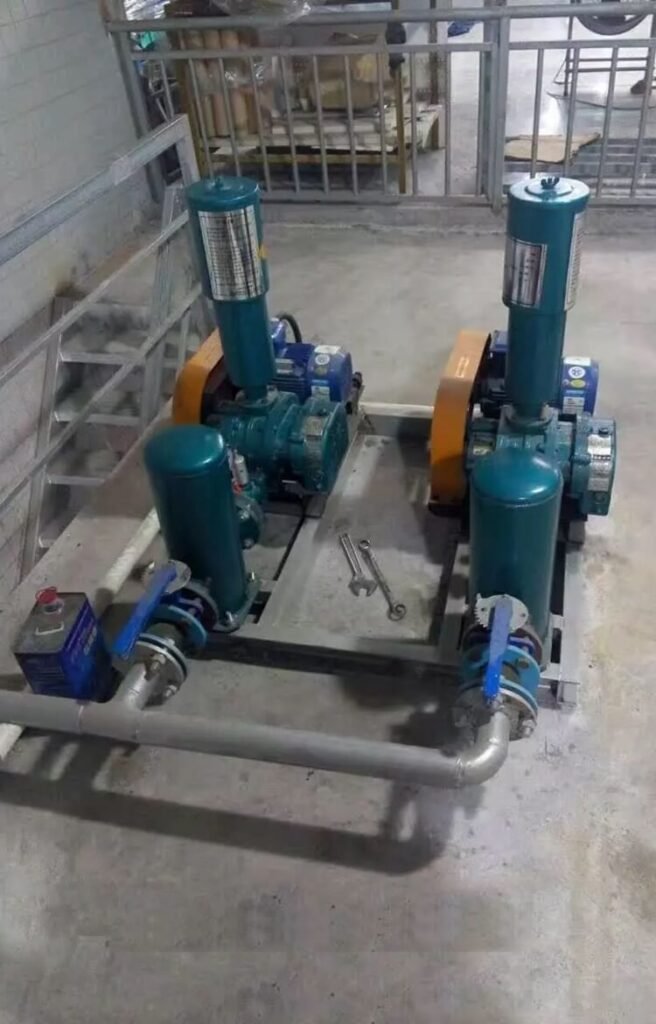 Roots blower for grain conveying installed in a food-grade grain processing plant