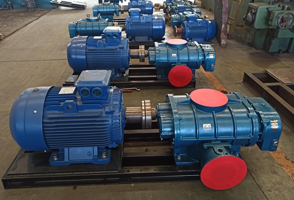 Roots Blower with Direct Coupling