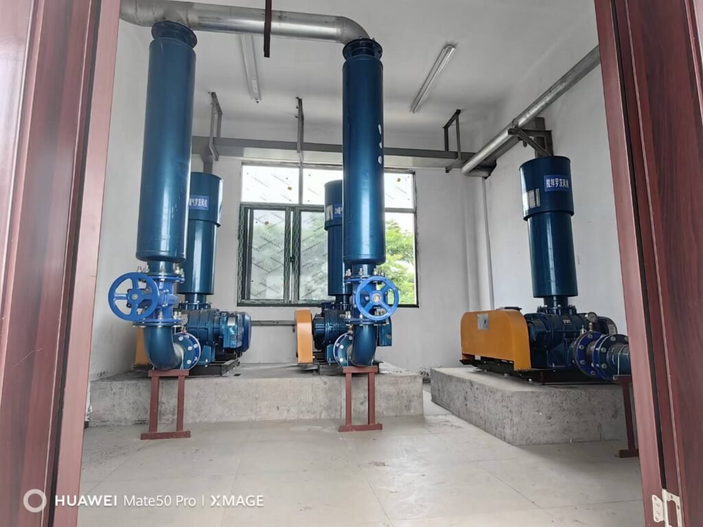 Roots Blower Indoor Installation