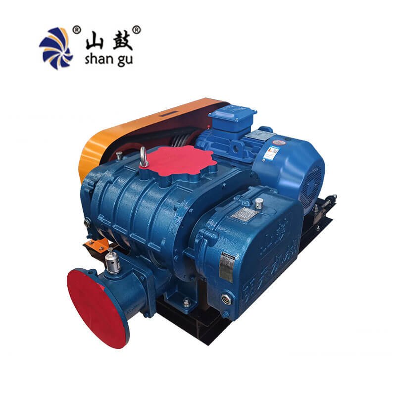 Roots Blower Pressure Relief Valve
