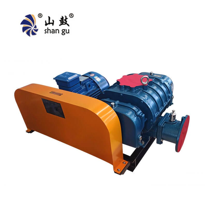 Roots Blower Pressure Relief Valve