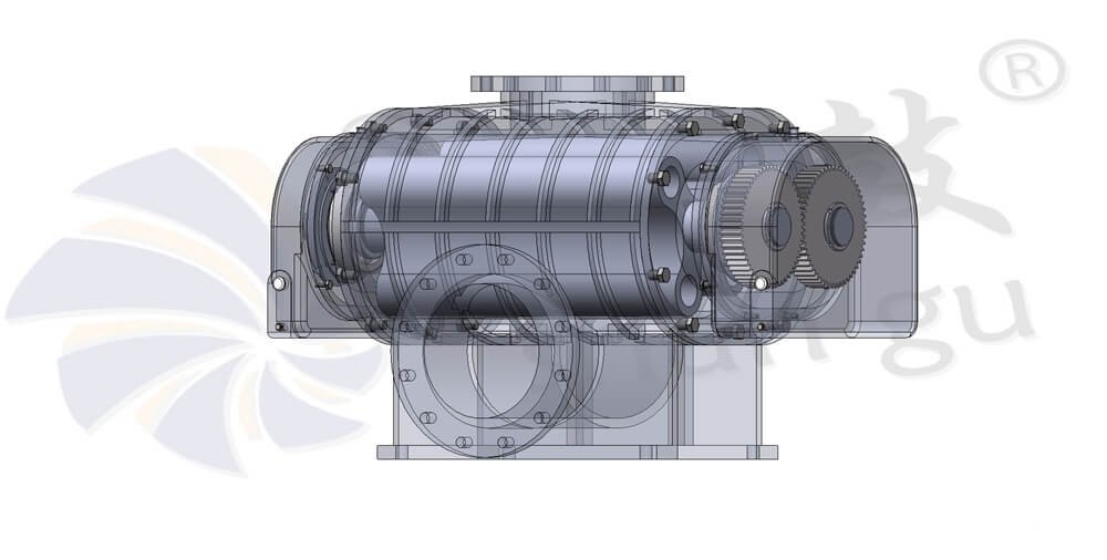 Roots Blower Structure