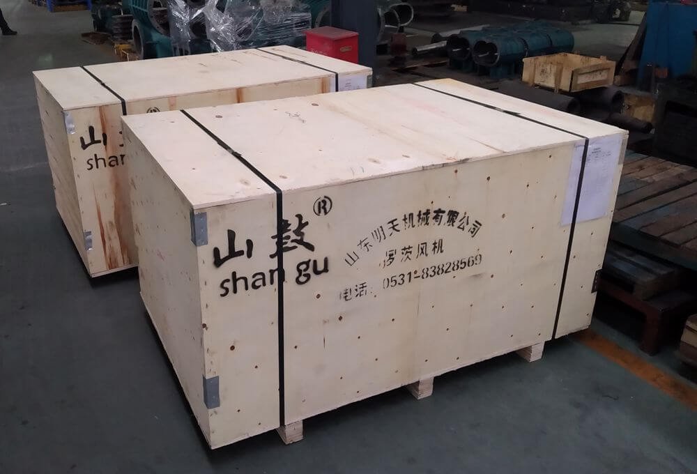 Roots Blower Package