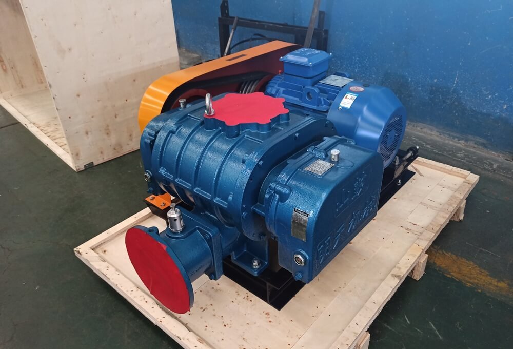 Roots Blower Physical Inspection